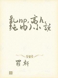 乱np,高h,纯肉)小说封面