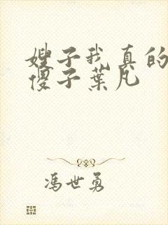嫂子我真的不是傻子叶凡