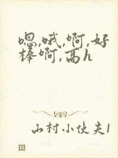 嗯,哦,啊,好棒啊,高h封面