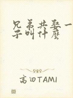 兄弟共娶一个妻子叫什么
