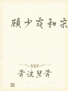 顾少霆和宋斯曼