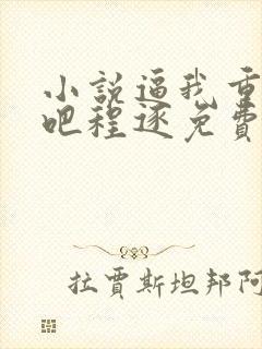 小说逼我重生是吧程逐免费全文阅读