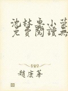 沈林鲁小荣小说免费阅读无弹窗