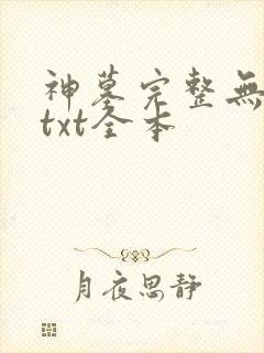 神墓完整无删减txt全本