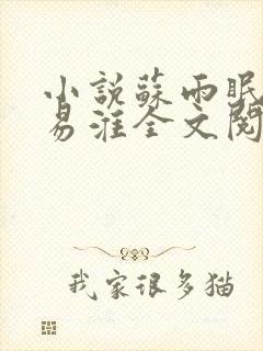 小说苏雨眠,江易淮全文阅读