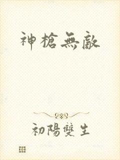 神枪无敌封面