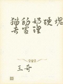 猫的奶硬块怎么去处理封面