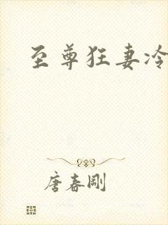 至尊狂妻冷若雪