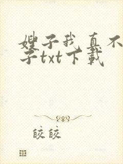 嫂子我真不是傻子txt下载