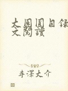 大团圆目录及全文阅读封面