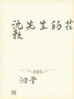 沈先生的花式管教