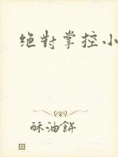 绝对掌控小说