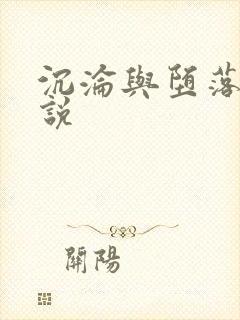 沉沦与堕落的小说