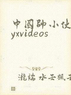 中国帅小伙gayxvideos封面
