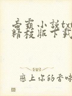 帝霸小说txt精校版下载