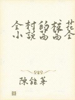 全村的校花妹妹小说茜茜全文阅读封面