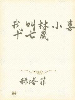 我叫林小喜今年十七岁封面
