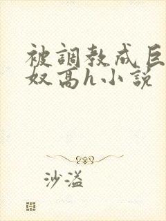 被调教成巨乳奶奴高h小说