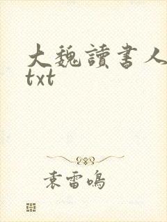 大魏读书人下载txt封面
