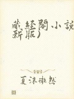 藏经阁小说网(新版)