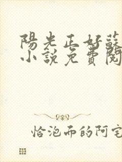 阳光正好苏玥玥小说免费阅读无弹窗