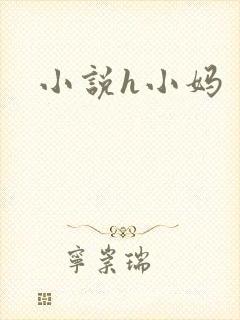 小说h小妈