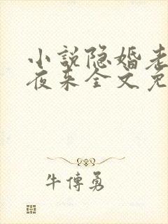 小说隐婚老公深夜来全文免费阅读