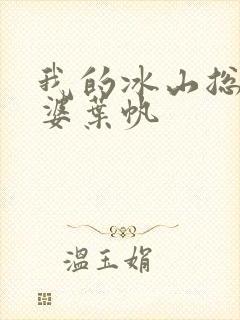 我的冰山总裁老婆叶帆