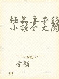 极品妻子的背叛小说全文阅读