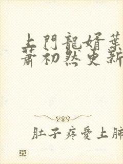 上门龙婿叶辰和萧初然更新最新章节