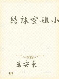 丝袜空姐小说