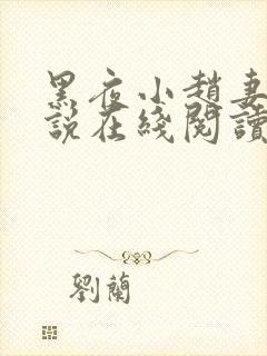 黑夜小赵妻子小说在线阅读