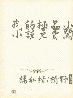 我的极品小姨 小说免费阅读