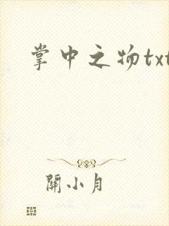 掌中之物txt