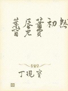 叶辰萧初然无弹窗免费