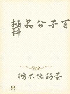 极品公子百度百科封面