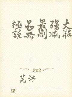 极品最强大少小说无删减版