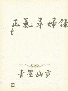 正气寻妇录txt
