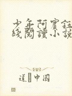 少年阿宾钰慧在线阅读小说
