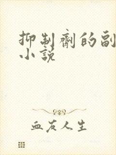 抑制剂的副作用小说封面