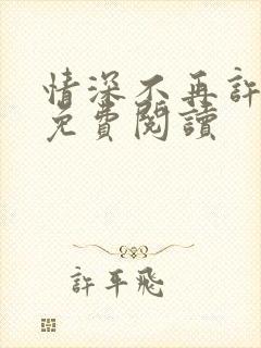 情深不再许小说免费阅读封面