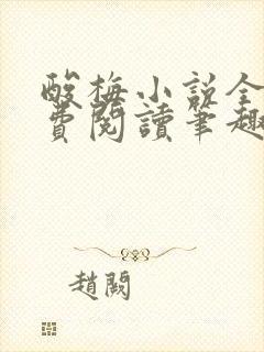 酸梅小说全文免费阅读笔趣阁