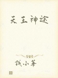 天王神途
