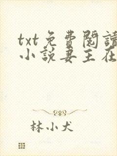 txt免费阅读小说妻主在上