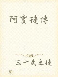 阿宾后传