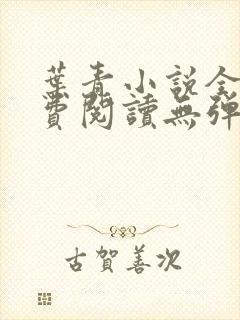 叶青小说全文免费阅读无弹窗