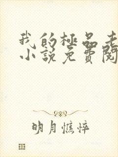 我的极品老婆们小说免费阅读