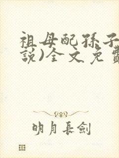 祖母配孙子(小说)全文免费阅读他