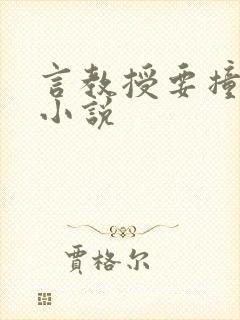言教授要撞坏了小说