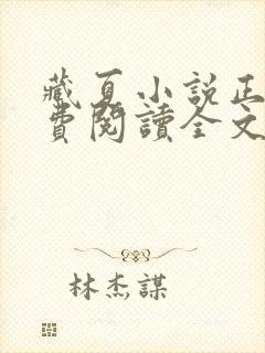藏夏小说正版免费阅读全文无弹窗